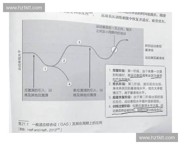 打造私人教练专属健身方案 提升客户健康与运动表现的全方位策略